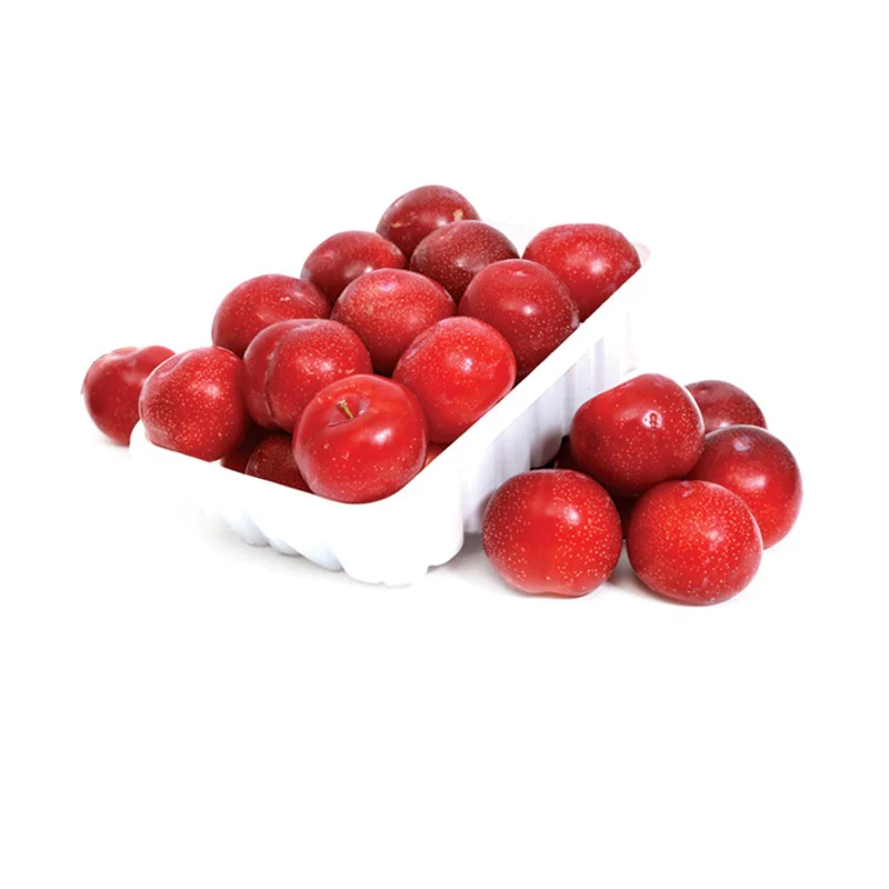 Egyptian Red Plum, 500G