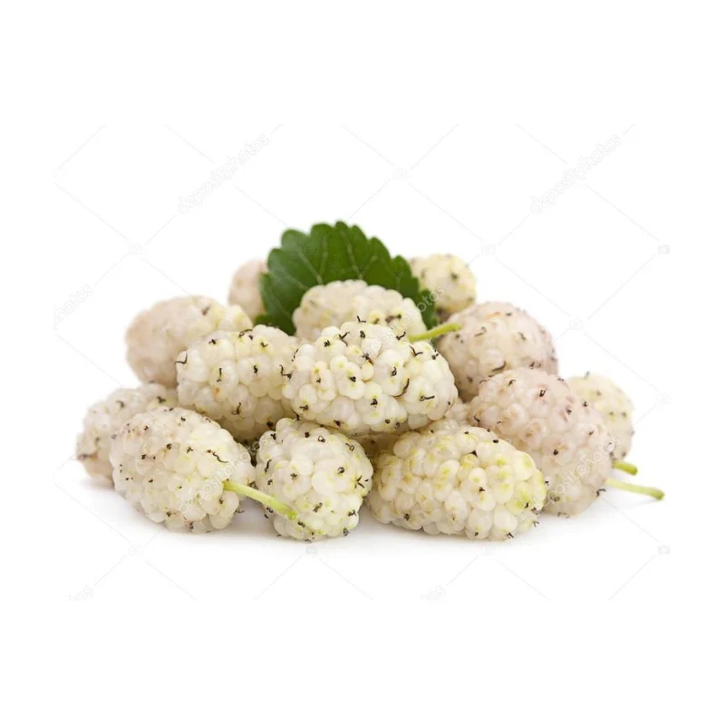 Organic White Mulberry – 500g | Naturally Sweet & Nutritious