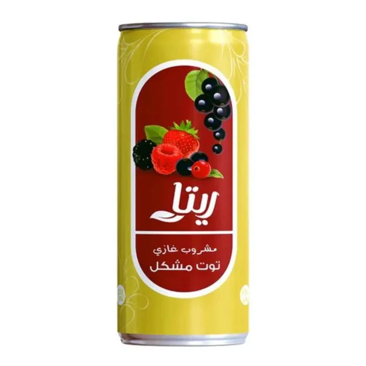 Rita Mixed Berries Soda Beverage 240ml