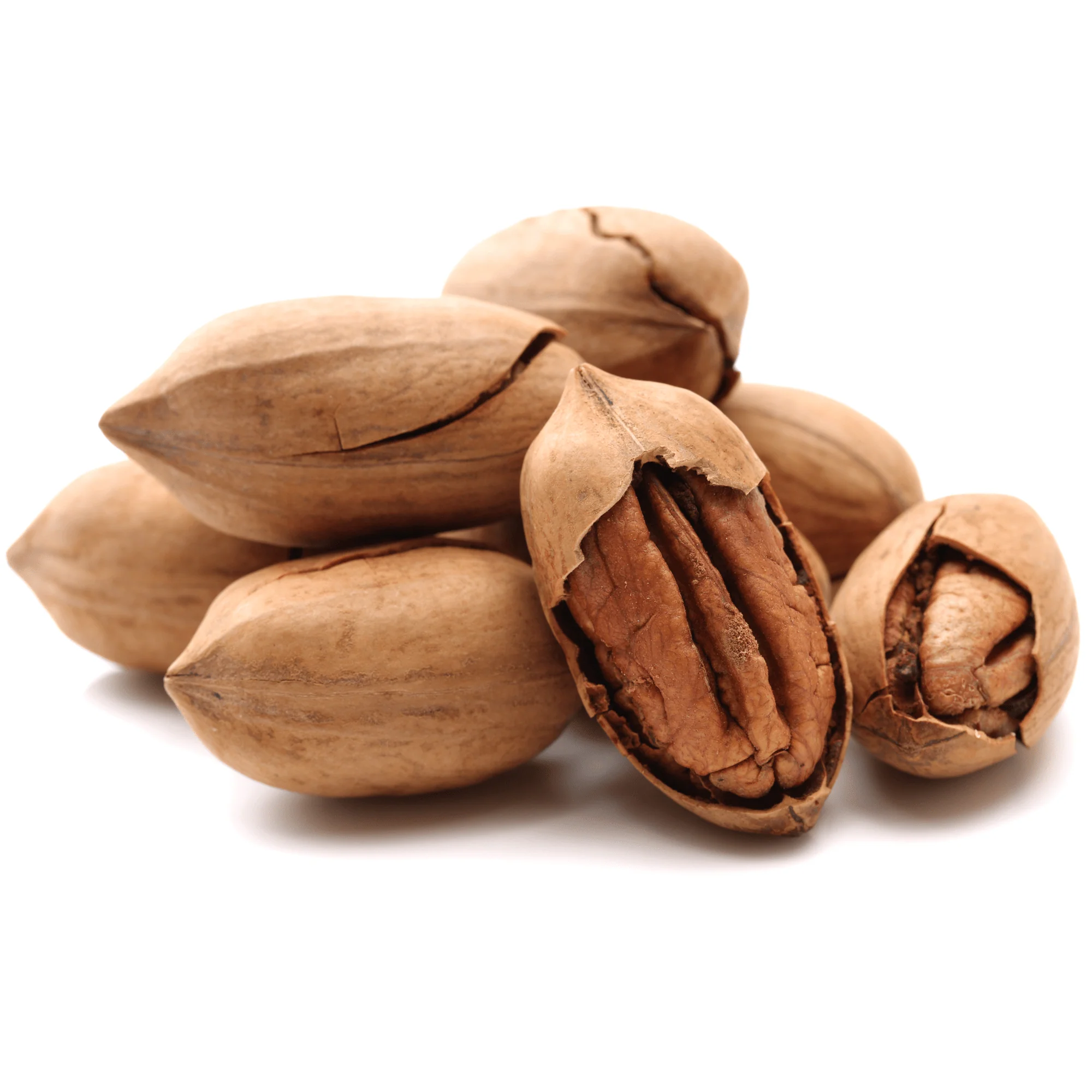 Roasted Pecan Nuts in Shell – 200g - Image 2