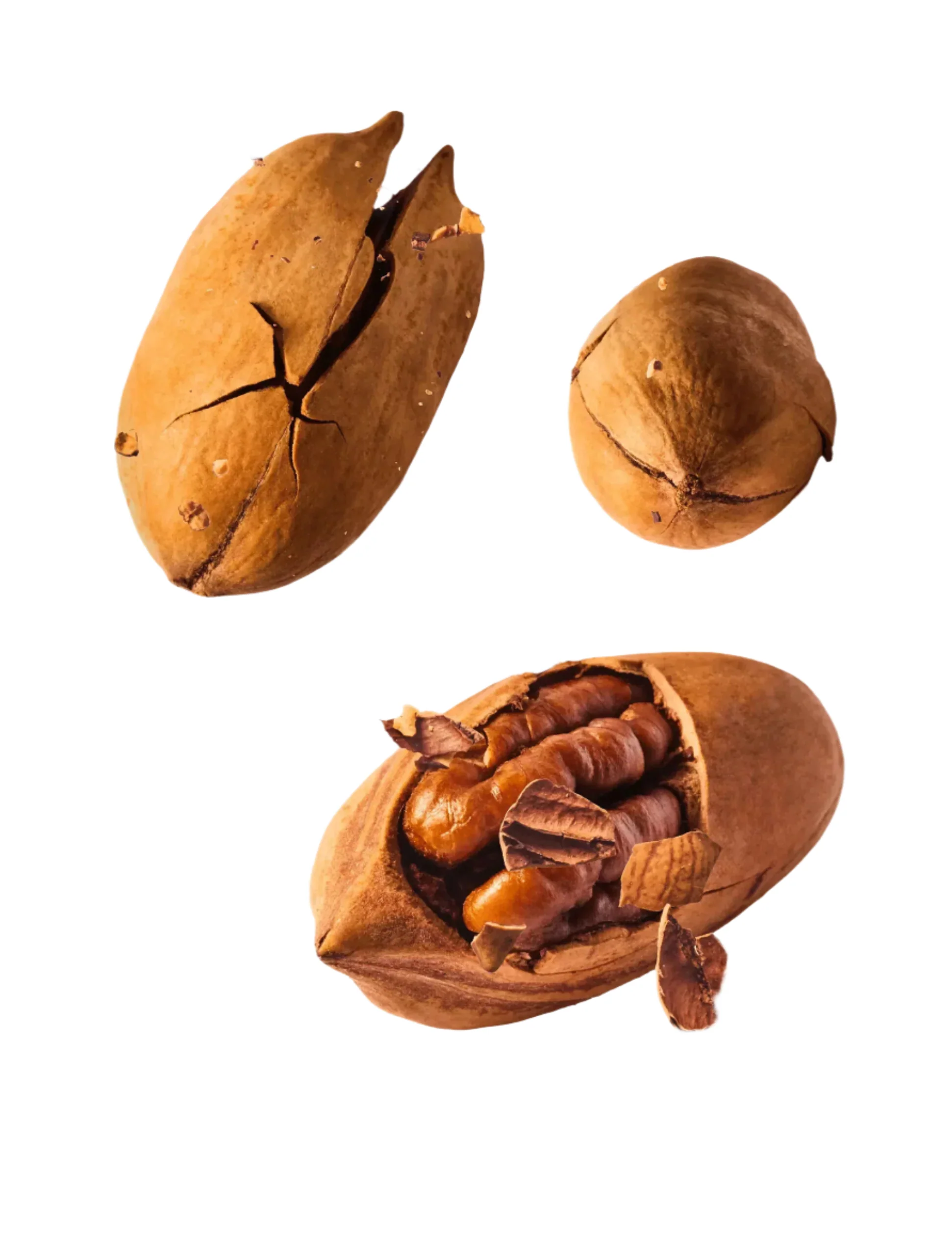Roasted Pecan Nuts in Shell – 200g - Image 4