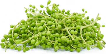 sour grapes Fruit PKT - Image 3